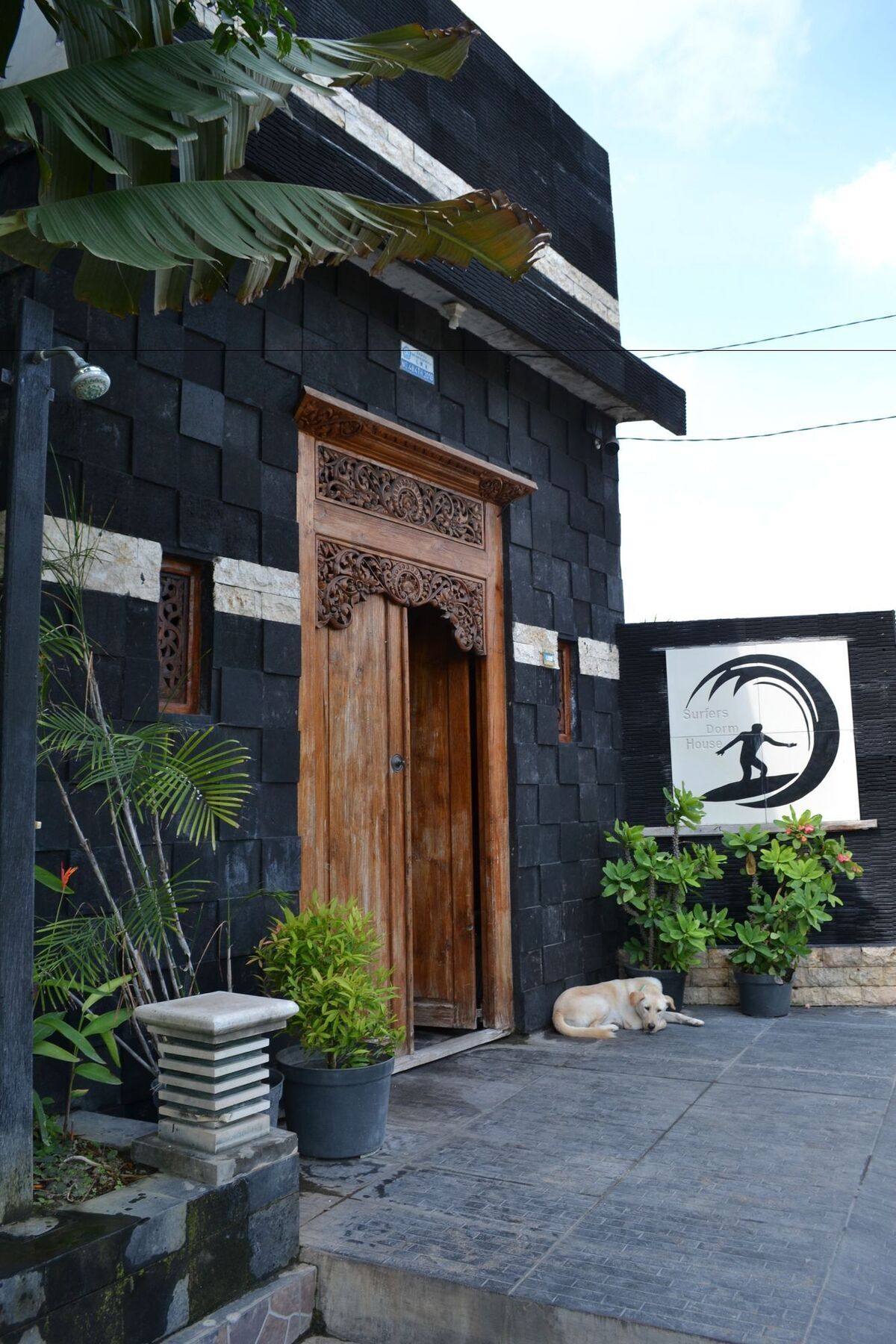 Surfers Dorm House Hotell Canggu Eksteriør bilde