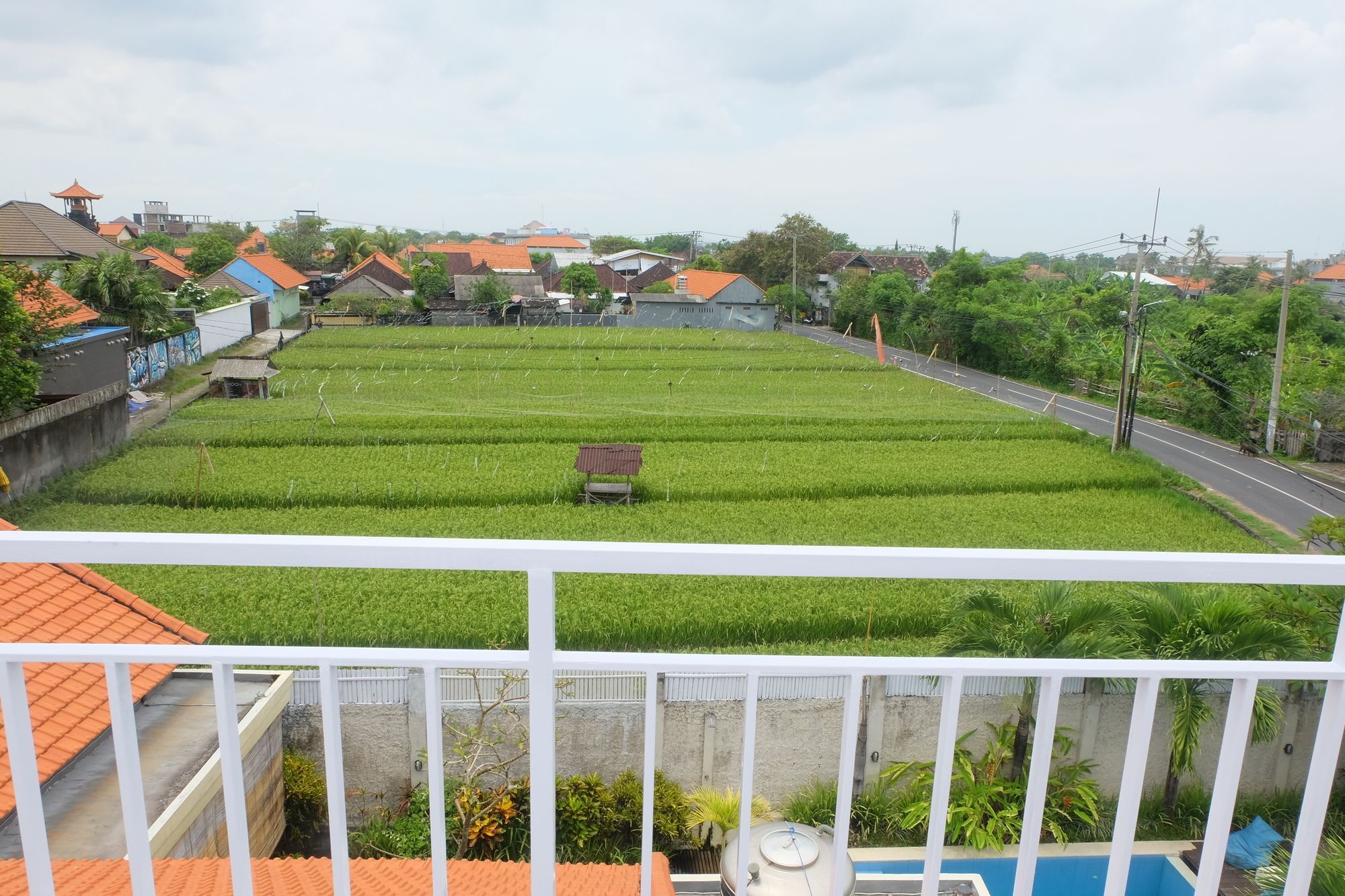 Surfers Dorm House Hotell Canggu Eksteriør bilde